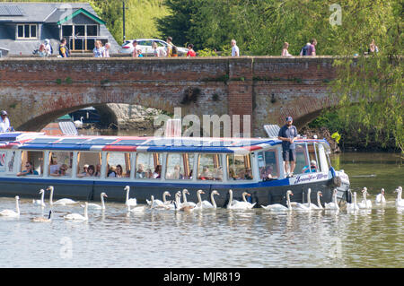 Stratford Upon Avon, Warwickshire, Royaume-Uni, 6 mai 2018. vacances de banque des foules de gens profitant de la rivière Avon en barques Crédit : Paul Rushton/Alamy Live News Banque D'Images