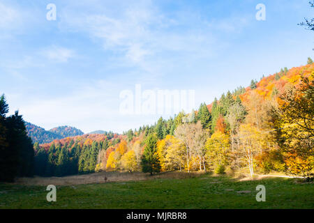 L'automne paysage de montagne. Grappa, montagne Alpes Italiennes Banque D'Images