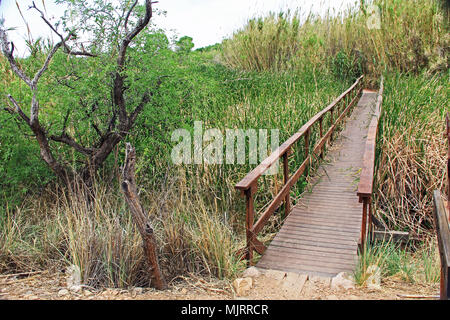 Bridge Promenade à las Lagunas de Anza Wetlands Banque D'Images