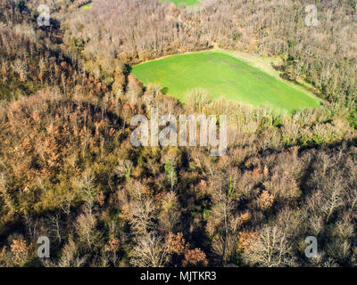 Paysage de la forêt dans la province de Viterbe en Italie. Banque D'Images