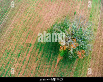 Vue aérienne d'un champ labouré en Italie Banque D'Images