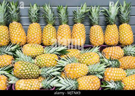 Gros plan sur le marché de l'Ananas empilées sur stand street à San Jose, Costa Rica. Ces fruits font partie de la vie du Costa Rica en bonne santé. Banque D'Images