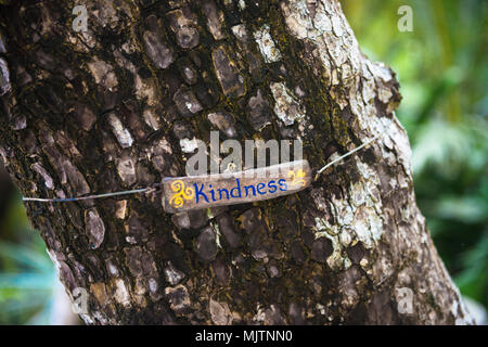 Signe de bonté cachée doucement dans la forêt comme un rappel. Handmade, trouvés au Costa Rica. Belle expérience de voyage peut être trouvé dans les détails. Banque D'Images