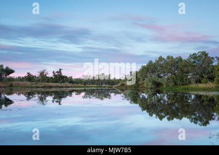 Georgetown, Queensland, Australie. Ciel rouge dans le pré aube lumière à la mine d'or de Cumberland, près de Georgetown dans la savane façon Grand Nord outback Banque D'Images