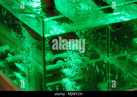 Pédicure traitement du poisson Banque D'Images