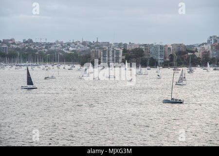 Sydney, NSW, Australia-December 7,2016 : Abondance de voiliers dans le port au crépuscule avec l'architecture au bord de l'eau à Sydney, Australie Banque D'Images