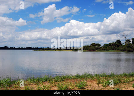 Un lac près de la rivière Rufiji dans la réserve de gibier de Selous, Tanzanie Banque D'Images