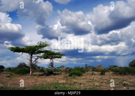 Paysage d'une partie reculée de la réserve de gibier de Selous en Tanzanie Banque D'Images