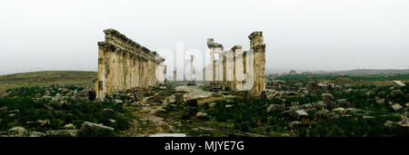 Grande Colonnade à Apamée de brouillard, partiellement détruits , Syrie Banque D'Images