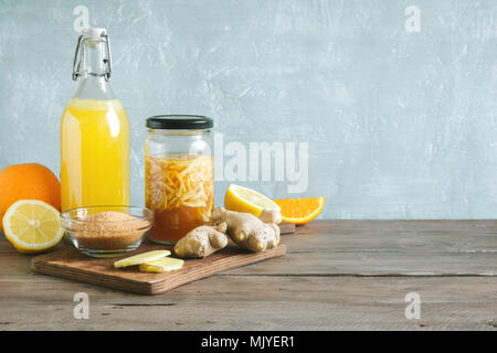 Ginger Bug - des probiotiques fermentés, soda au gingembre et fruits boisson biologique. Banque D'Images