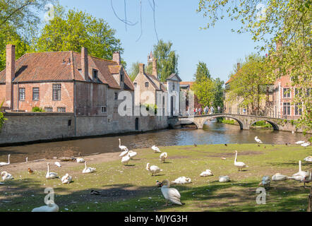 Bruges, Belgique - Mai 4, 2018 : vue sur la rivière Dijver avec le béguinage médiévale sur l'arrière-plan Banque D'Images