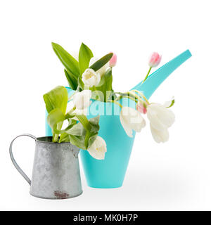 L'arrosoir en plastique bleu avec un bouquet de fleurs jaune de jonquilles et tulipes blanches et roses sur fond blanc. Les accessoires de jardin. Banque D'Images