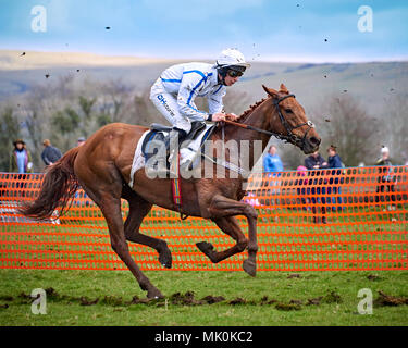 Équitation jockey Amateur un chasseur châtaigne, au galop sur un terrain mou, tout en participant à un point-à-point cas Banque D'Images