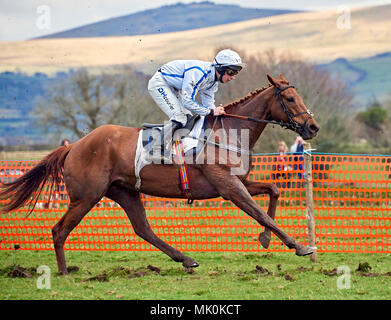 Équitation jockey Amateur un chasseur châtaigne, au galop sur un terrain mou, tout en participant à un point-à-point cas Banque D'Images