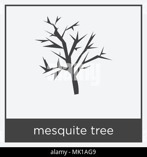 L'icône arbre mesquite isolé sur fond blanc avec cadre gris, signe et symbole Illustration de Vecteur