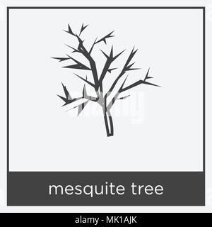 L'icône arbre mesquite isolé sur fond blanc avec cadre gris, signe et symbole Illustration de Vecteur