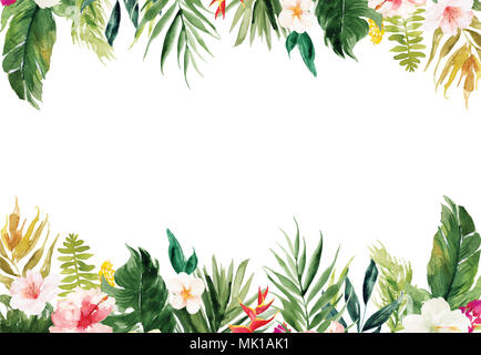 La vierge blanche horizontale papier fond avec plantes et fleurs colorées border Banque D'Images