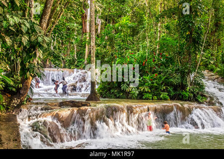 Dunn's River Falls, Ocho Rios, Jamaïque, Caraïbes Banque D'Images