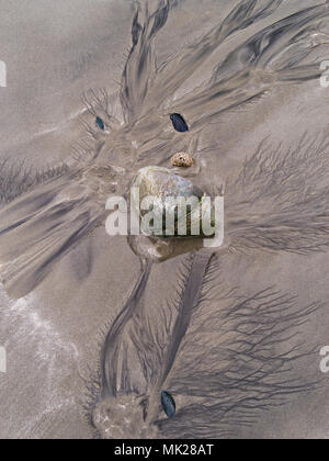 Libre de lumière et d'obscurité des modèles sable humide causée par l'écoulement de l'eau sur plage de sable Banque D'Images