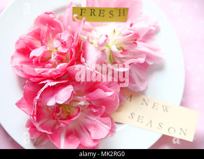 Tulipes à fleurs de pivoine sur une plaque blanche avec les mots 'fresh' et 'une nouvelle saison' Banque D'Images