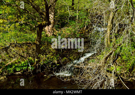 Apprivoiser la rivière Cascade dans Friezland dans le Peak District National Park Banque D'Images