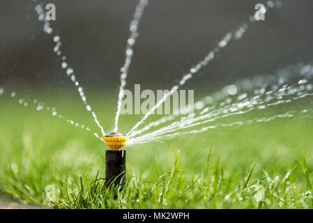 Sprinkleur automatique jardin pelouse herbe arrosage en action Banque D'Images