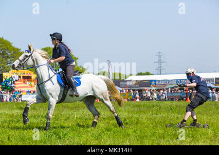 Marais Netley, Hampshire, Royaume-Uni. 6 mai 2018. Le premier jour, de l'événement de deux jours, Hampshire Game & Country Fair attire les foules par une chaude journée ensoleillée. Horseboarding, horse boarding, est un sport extrême où la frontière est tiré à une vitesse de 28mph autour d'une série d'obstacles par un cheval au galop. Credit : Carolyn Jenkins/Alamy Live News Banque D'Images