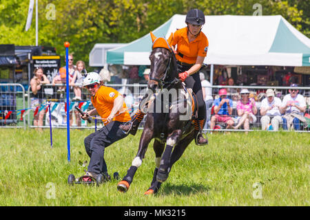 Marais Netley, Hampshire, Royaume-Uni. 6 mai 2018. Le premier jour, de l'événement de deux jours, Hampshire Game & Country Fair attire les foules par une chaude journée ensoleillée. Horseboarding, horse boarding, est un sport extrême où la frontière est tiré à une vitesse de 28mph autour d'une série d'obstacles par un cheval au galop. Credit : Carolyn Jenkins/Alamy Live News Banque D'Images