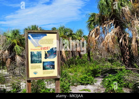 Panneaux d'avertissement et d'information sur l'île de Caladesi à Dunedin en Floride avec accès à la plage. Banque D'Images