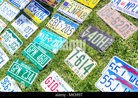 USA différentes plaques rétro voiture au marché aux puces. Les numéros d'enregistrement des véhicules vintage se coucha sur l'herbe à au rassemblement d'échange. Banque D'Images