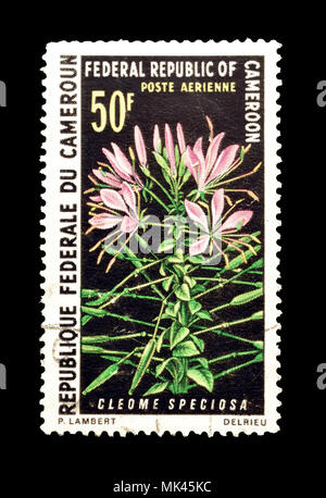 Timbre-poste imprimé par le Cameroun, qui montre une belle fleur araignée, vers 1970. Banque D'Images