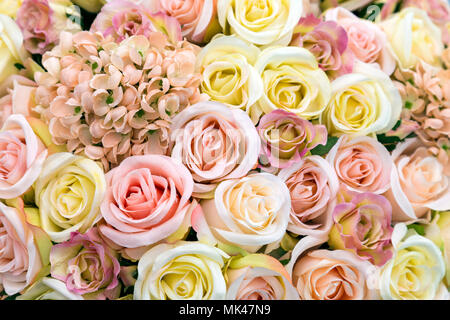 Fond de fleurs pastel et roses en rose et jaune Banque D'Images