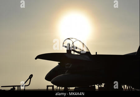 Un aviateur de l'Armée de l'air américaine de Mountain Home Air Force Base, Alabama, inspecte l'auvent d'un F-15 Eagle cockpit avant l'arrivée de son pilote sur la piste à la base aérienne Tyndall, en Floride, le 7 novembre 2017. Aviateurs de Mountain Home et plus de sept autres installations de l'Armée de l'air commencent leurs jours dans les heures tôt le matin pour le drapeau à damier 18-1 et l'exécutant simultanément Programme d'évaluation de systèmes d'armes de combat, Archer, à maximiser le temps disponible pour la formation pendant les deux semaines de l'exercice à grande échelle qui intègre la puissance de combat des quatrième et cinquième génération-- air Banque D'Images