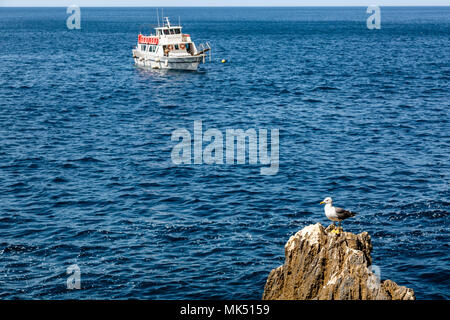 À l'entrée de la grotte de Neptune sur 'Capo Caccia' sur l'île de la Sardaigne Banque D'Images