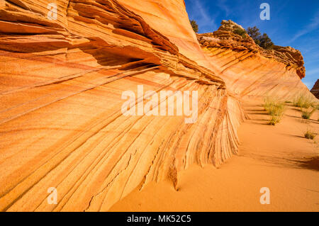 Rouge et Or coloré de bandes dans les formations de grès au sud de la zone d'accès Cottonwood Coyote Buttes Vermilion Cliffs National Monument Arizona USA Banque D'Images