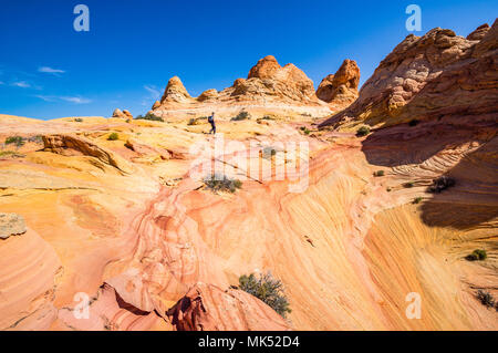 Randonneur lointain avec pack de formations de grès colorés du sud de la zone d'accès Cottonwood Coyote Buttes Vermilion Cliffs National Monument Arizona Banque D'Images