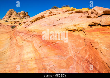 Rouge et Or coloré de bandes dans les formations de grès au sud de la zone d'accès Cottonwood Coyote Buttes Vermilion Cliffs National Monument Arizona USA Banque D'Images