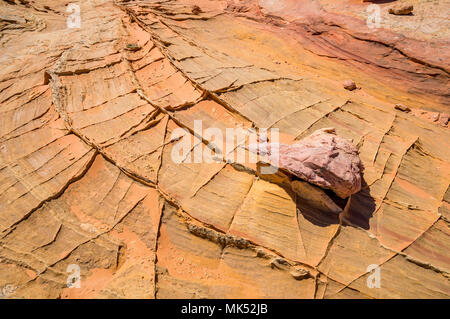 Formations de grès colorés du sud de la zone d'accès Cottonwood Coyote Buttes Vermilion Cliffs National Monument Arizona Etats-unis d'Amérique Banque D'Images