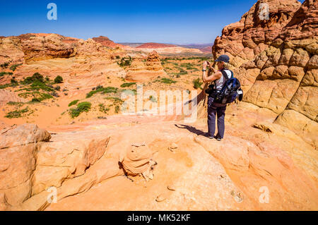 Femme photographe avec pack de photographier des formations de grès colorés du Sud, région de Coyote Buttes, Vermilion Cliffs National Monument, Arizona Banque D'Images