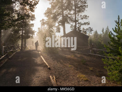 Un chemin de terre jusqu'à pied tôt le matin avec la lumière du soleil brillant à travers le brouillard et la brume, de grands arbres et de cabine. Banque D'Images