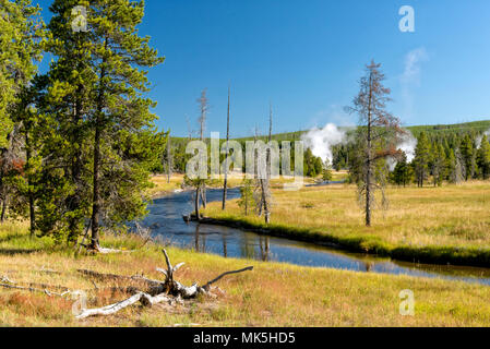 Les prairies avec rivière qui traverse en forêts au-delà sous ciel bleu. Banque D'Images