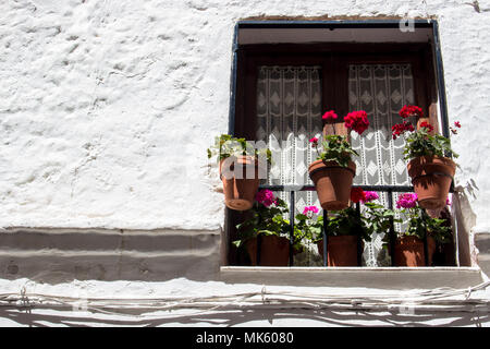 Fenêtre. Fenêtre avec des pots de fleurs sur un mur blanc à Marbella. La province de Malaga, Andalousie, espagne. Photo prise - 3 mai 2018. Banque D'Images