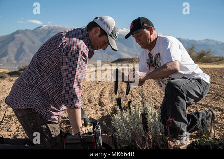 Hill Air Force base est une installation de l'United States Air Force située dans le nord de l'Utah près d'Ogden. Le 9 novembre 2017, des bénévoles ont chargé des plantes indigènes dans des transporteurs pour un projet de mise en valeur des terres visant à soutenir l'habitat faunique et à stabiliser un ancien site d'enfouissement. L'image d'archives documente les efforts de restauration environnementale menés sur la propriété de la base. Banque D'Images
