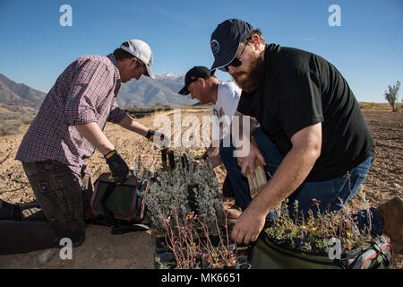 Hill Air Force base est une installation de l'United States Air Force dans l'Utah qui soutient les missions opérationnelles et de maintenance. Le 9 novembre 2017, des bénévoles ont chargé des centaines de semis indigènes pour les planter sur un ancien site d’enfouissement afin d’améliorer l’habitat faunique, y compris le fourrage pour les cerfs. L'image d'archives enregistre le personnel de la base participant aux activités de restauration de l'environnement. Banque D'Images