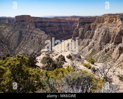 Les parois du canyon coloré de Bighorn Canyon National Recreation Area de végétation en premier plan avec ciel bleu au-dessus. La rivière Bighorn boueux est vu. Banque D'Images