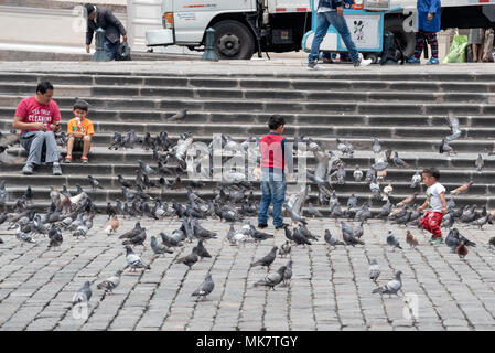 Les enfants courir après les pigeons de la Place Saint François, Quito, Équateur. Banque D'Images