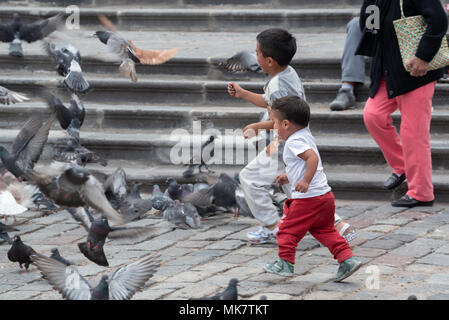 Les enfants courir après les pigeons de la Place Saint François, Quito, Équateur. Banque D'Images