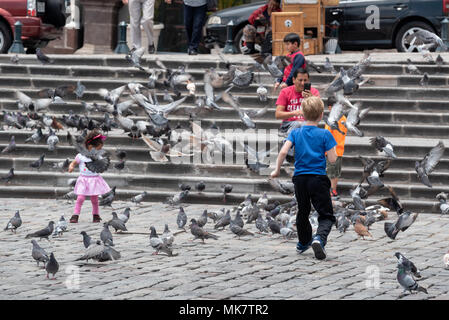 Les enfants courir après les pigeons de la Place Saint François, Quito, Équateur. Banque D'Images