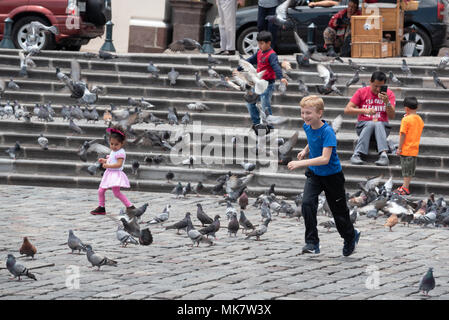 Les enfants courir après les pigeons de la Place Saint François, Quito, Équateur. Banque D'Images