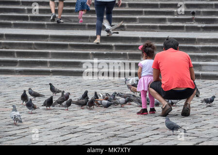 Père et fille affichage des pigeons à Saint Francis Square, Quito, Équateur. Banque D'Images